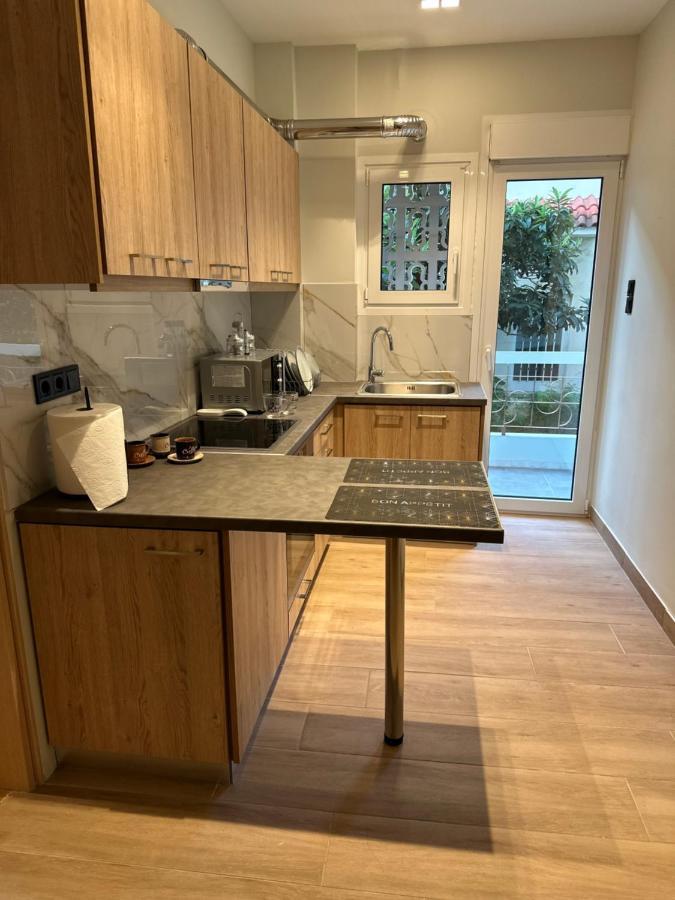 אתונה Vasilis Luxury Apartment מראה חיצוני תמונה