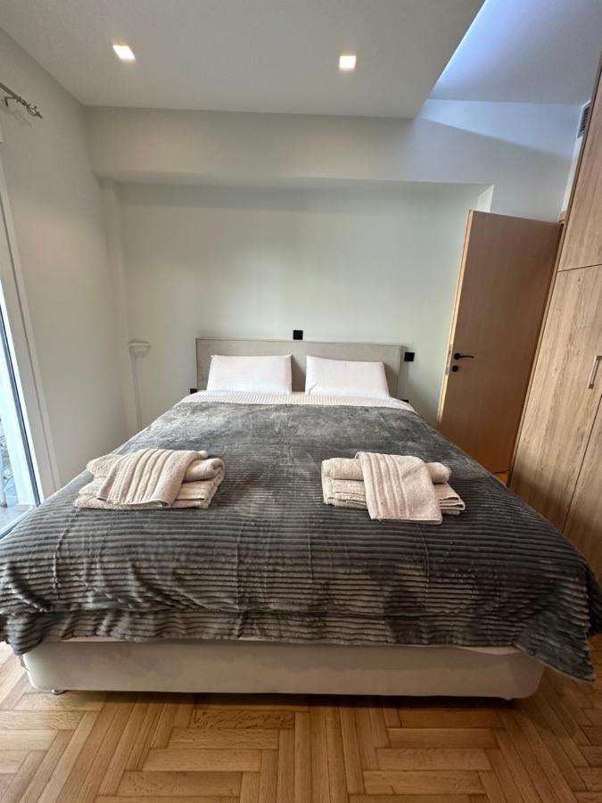 אתונה Vasilis Luxury Apartment מראה חיצוני תמונה