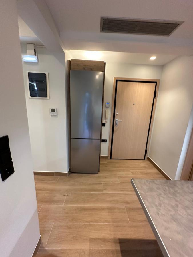 אתונה Vasilis Luxury Apartment מראה חיצוני תמונה